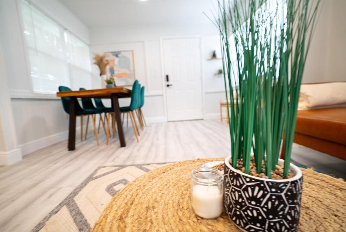 Homey Cozy Newly Renovated Stylish&Chic 7 Guests Tampa Kültér fotó